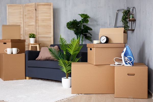 moving day local movers